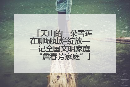 天山的一朵雪莲在聊城灿烂绽放——记全国文明家庭“詹春芳家庭”